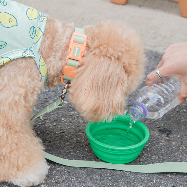 00000727