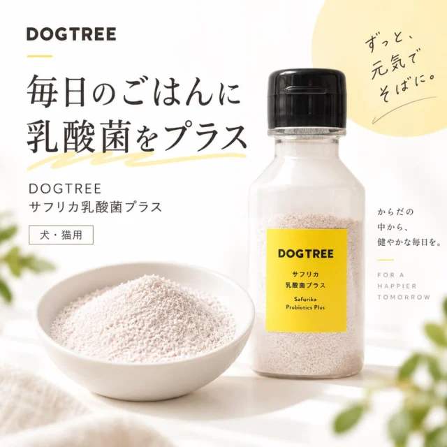 毎日のごはんに、乳酸菌を手軽にプラス🐾✨

DOGTREE サフリカ乳酸菌プラス

乳酸菌を生きたまま乾燥させ、
ごはんにサッとかけやすい顆粒タイプに仕上げた愛犬用の栄養補助食です🥣💛

さらに、グルコサミン・コンドロイチン・アヤムラサキイモ・ヤギミルクも配合。
腸内環境だけでなく、シニア期の毎日の健康にも配慮されています🐶🌿 

うれしいポイントはこちら👇

🌱 乳酸菌を手軽にプラス
🦴 グルコサミン＆コンドロイチン配合
🥛 ヤギミルク配合
🐾 シニア犬にもおすすめ
🤍 防腐剤・殺菌剤不使用 

使い方は、いつものごはんにふりかけるだけ✨
ボトルタイプなので、必要な分だけ使いやすいのも嬉しいポイントです😊

¥1,200（税込）
日本製 🇯🇵 

愛犬の毎日に、無理なく続けられる健康習慣を🐶✨
気になる方はプロフィールのリンクからチェックしてみてください🔗

#犬の健康
#乳酸菌
#犬ごはん
#シニア犬
#DOGTREE